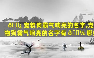 🌿 宠物狗霸气响亮的名字,宠物狗霸气响亮的名字有 🐼 哪些
